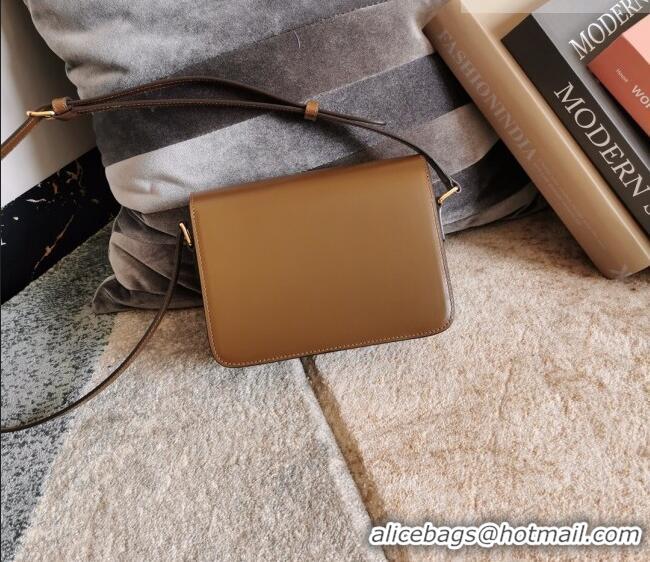 New Cheap Celine Teen Triomphe Mini Bag in Shiny Calfskin Leather 188423 Caramel 2026