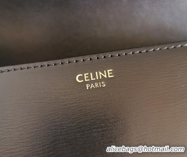 Top Design Celine Teen Triomphe Mini Bag in Shiny Calfskin Leather 188423 Black/Gold 2026