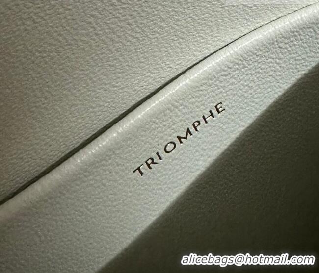 Cheapest Celine Teen Triomphe Mini Bag in Shiny Calfskin Leather 188423 White/Gold 2026