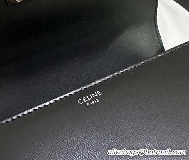 Grade Quality Celine Teen Triomphe Mini Bag in Shiny Calfskin Leather 188423 Black/Silver 2026