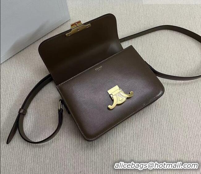 Shop Discount Celine Teen Triomphe Mini Bag in Shiny Calfskin Leather 188423 Soil Brown 2026