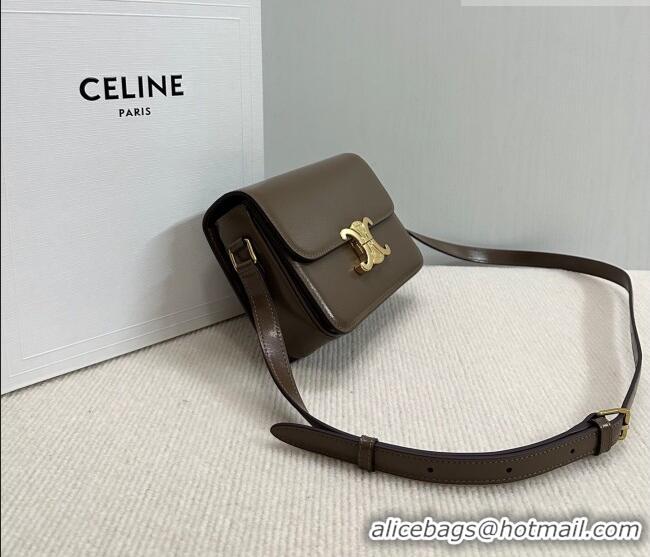 Shop Discount Celine Teen Triomphe Mini Bag in Shiny Calfskin Leather 188423 Soil Brown 2026