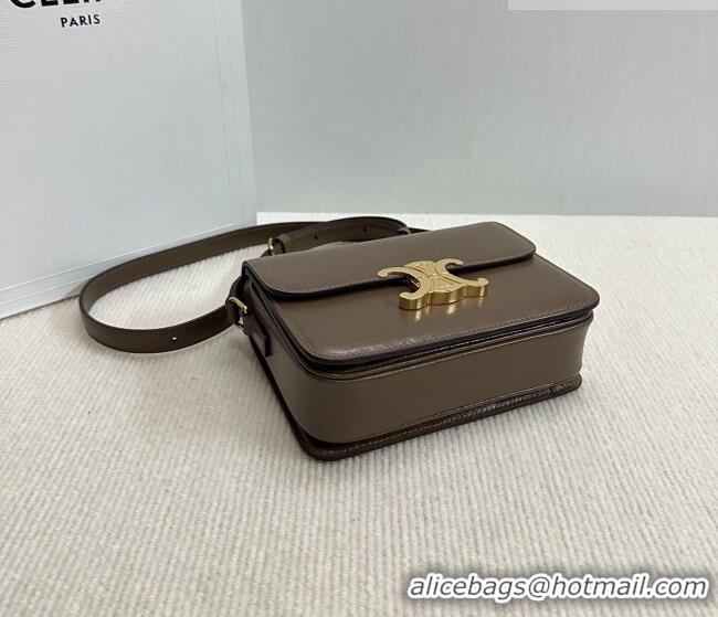 Shop Discount Celine Teen Triomphe Mini Bag in Shiny Calfskin Leather 188423 Soil Brown 2026