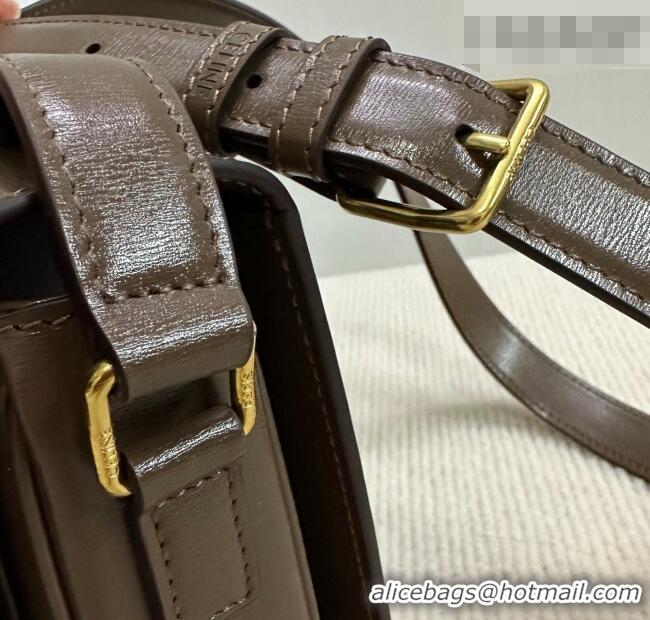 Shop Discount Celine Teen Triomphe Mini Bag in Shiny Calfskin Leather 188423 Soil Brown 2026
