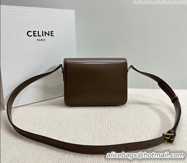 Shop Discount Celine Teen Triomphe Mini Bag in Shiny Calfskin Leather 188423 Soil Brown 2026