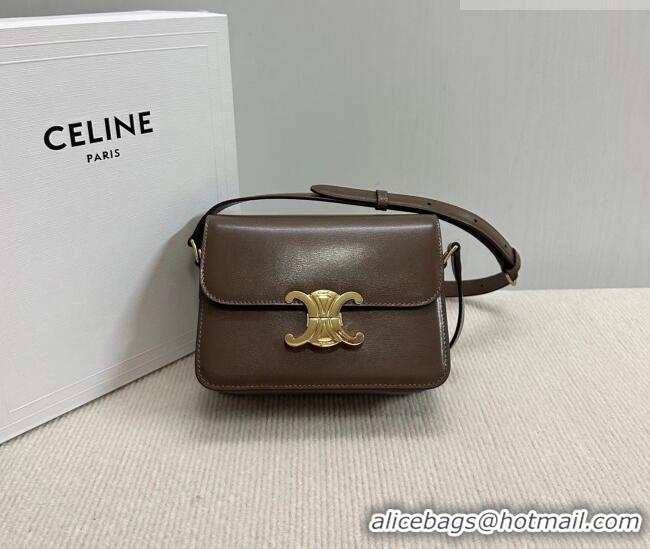 Shop Discount Celine Teen Triomphe Mini Bag in Shiny Calfskin Leather 188423 Soil Brown 2026