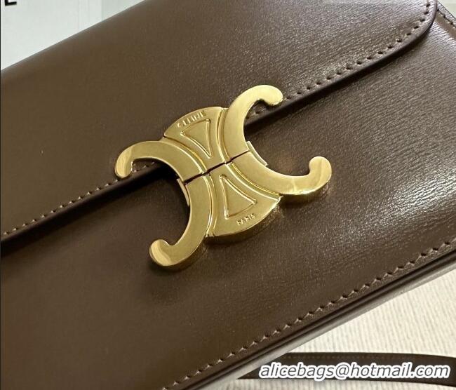 Shop Discount Celine Teen Triomphe Mini Bag in Shiny Calfskin Leather 188423 Soil Brown 2026