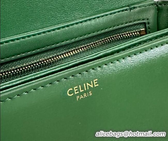 Top Design Celine Teen Triomphe Mini Bag in Shiny Calfskin Leather 188423 Amazon Green 2026