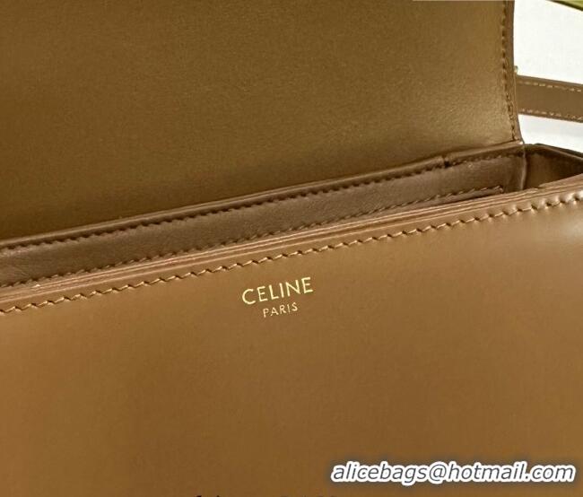 Super Quality Celine Teen Triomphe Mini Bag in Shiny Calfskin Leather 188423 Bronze 2026