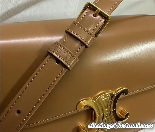 Super Quality Celine Teen Triomphe Mini Bag in Shiny Calfskin Leather 188423 Bronze 2026
