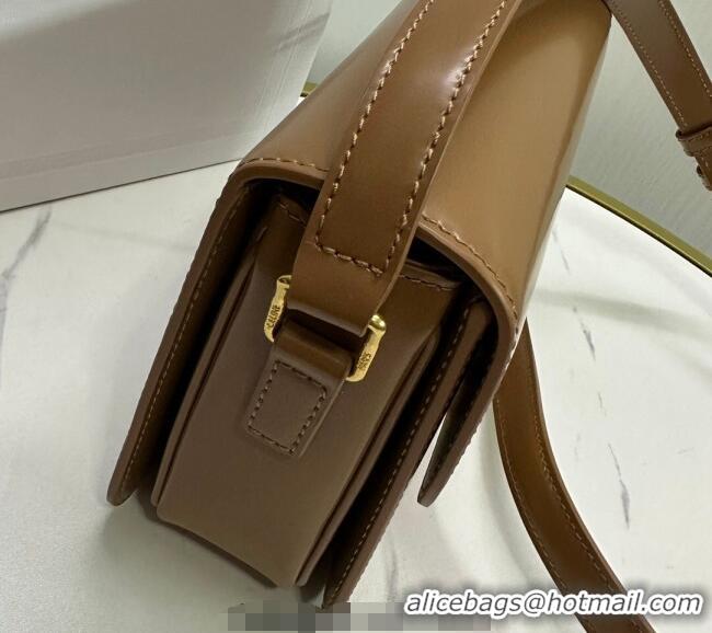 Super Quality Celine Teen Triomphe Mini Bag in Shiny Calfskin Leather 188423 Bronze 2026
