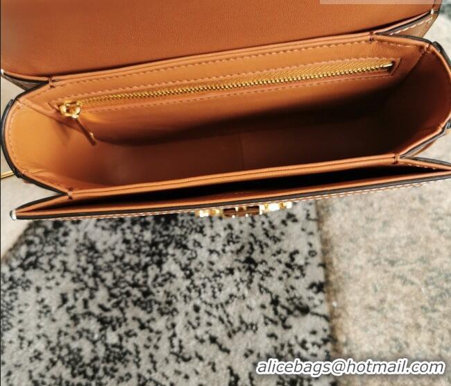 Luxury Cheap Celine Teen Triomphe Bag in Canvas and Calfskin Leather 188423 White 2026