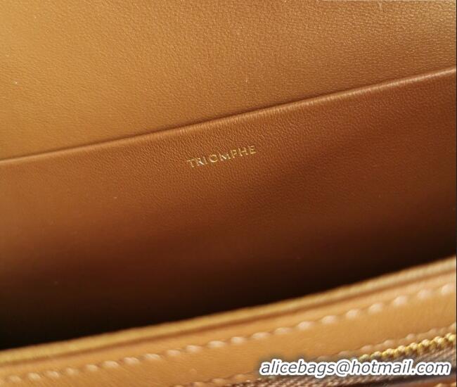 Best Price Celine Classique Triomphe Bag in Shiny Calfskin Leather 187366 Caramel 2026