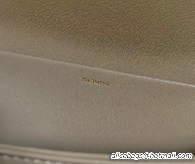 Top Quality Celine Classique Triomphe Bag in Shiny Calfskin Leather 187366 Pebble Grey 2026