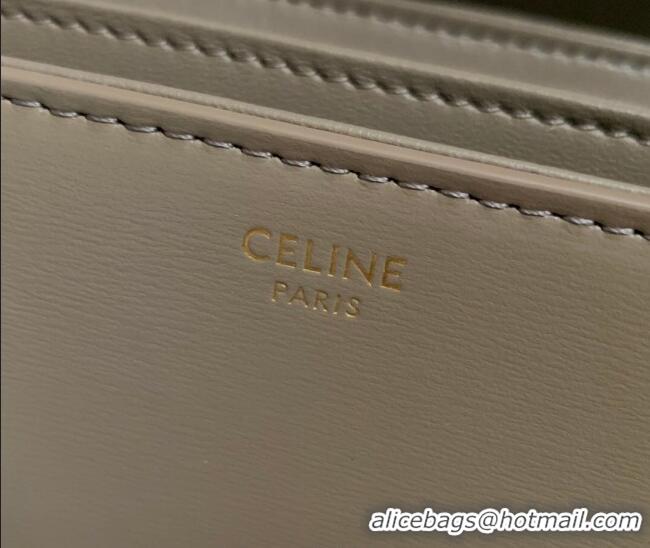 Top Quality Celine Classique Triomphe Bag in Shiny Calfskin Leather 187366 Pebble Grey 2026