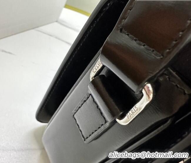 Luxury Cheap Celine Classique Triomphe Bag in Shiny Calfskin Leather 187366 Black/Silver 2026