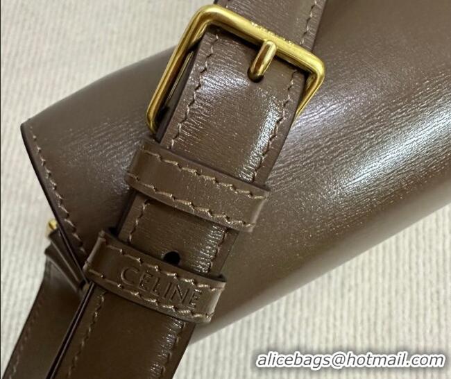 Best Product Celine Classique Triomphe Bag in Shiny Calfskin Leather 187366 Soil Brown 2026