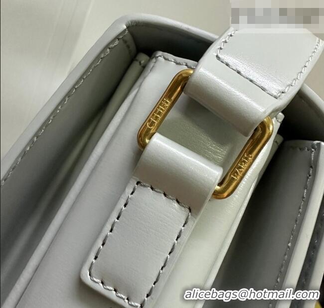 Best Quality Celine Classique Triomphe Bag in Shiny Calfskin Leather 187366 Soft Blue 2026