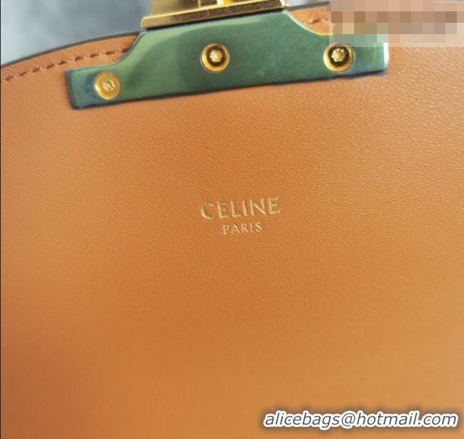 Best Quality Celine Classique Triomphe Bag in Canvas and Calfskin Leather 187366 Brown 2026