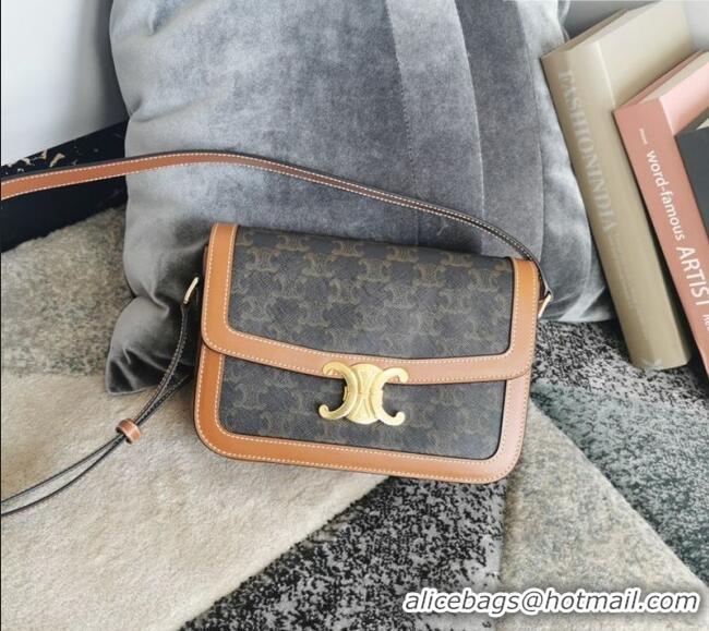 Best Quality Celine Classique Triomphe Bag in Canvas and Calfskin Leather 187366 Brown 2026