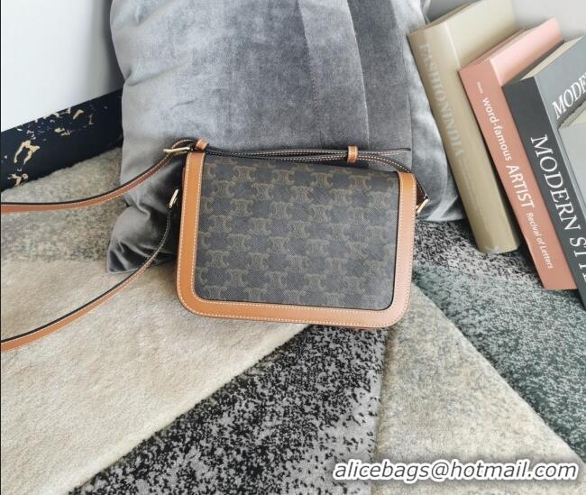 Best Quality Celine Classique Triomphe Bag in Canvas and Calfskin Leather 187366 Brown 2026