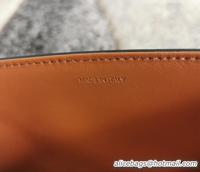 Best Quality Celine Classique Triomphe Bag in Canvas and Calfskin Leather 187366 Brown 2026