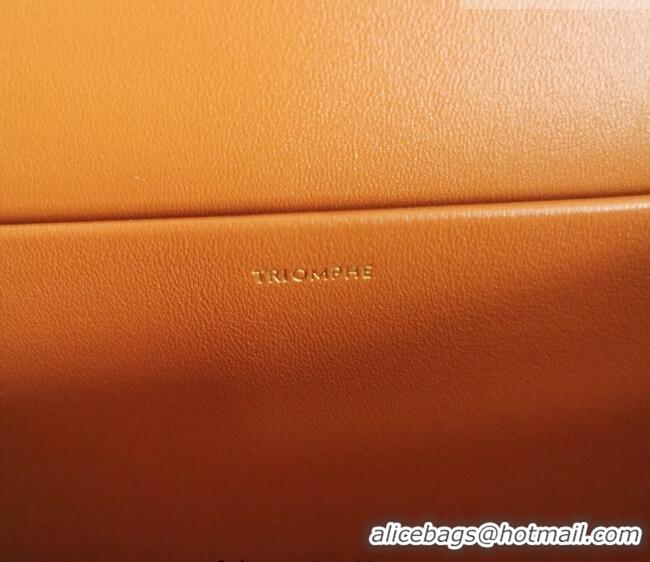 Unique Grade Celine Classique Triomphe Bag in Canvas and Calfskin Leather 187366 White 2026