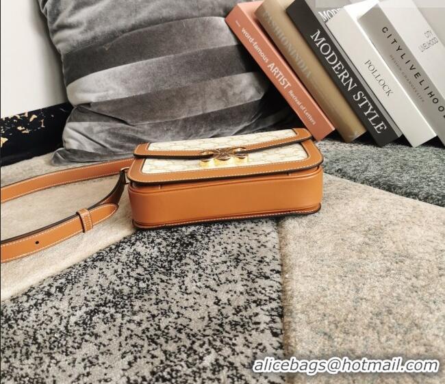 Unique Grade Celine Classique Triomphe Bag in Canvas and Calfskin Leather 187366 White 2026