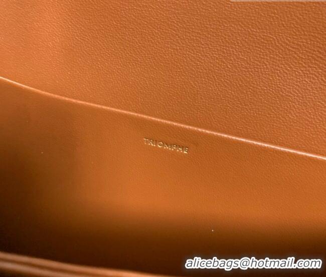 Best Product Celine Classique Triomphe Bag in Linen Canvas and Calfskin Leather 187366 Beige 2026