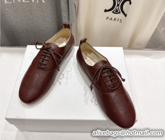 Good Product Celine Lise Perforated Triomphe Richelieu Laced-up Shoes in Calfskin Leather Brown 1209051 2026