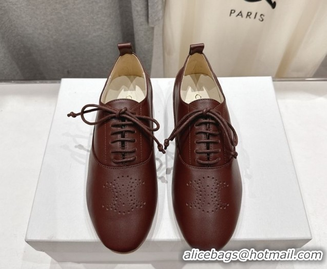 Good Product Celine Lise Perforated Triomphe Richelieu Laced-up Shoes in Calfskin Leather Brown 1209051 2026