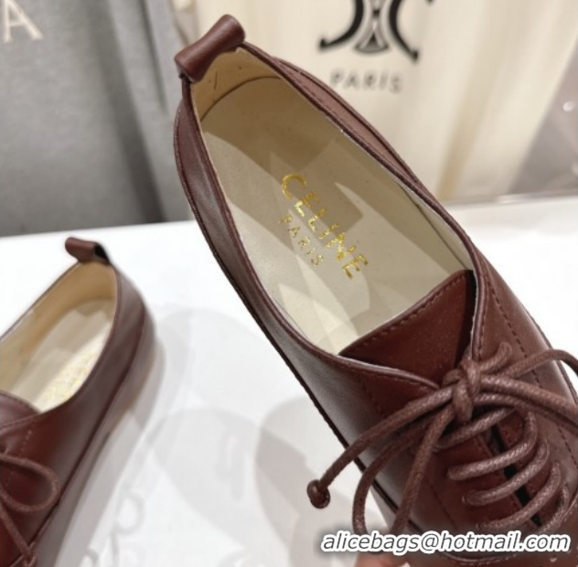 Good Product Celine Lise Perforated Triomphe Richelieu Laced-up Shoes in Calfskin Leather Brown 1209051 2026