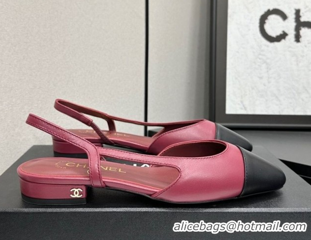 Good Looking Chanel Calfskin Leather Slingbacks Flat G31319 Burgundy/Black 2026