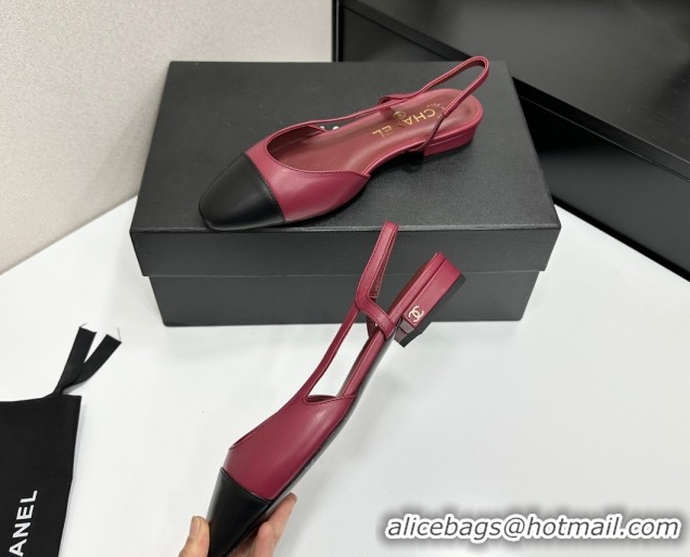 Good Looking Chanel Calfskin Leather Slingbacks Flat G31319 Burgundy/Black 2026