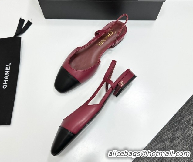 Good Looking Chanel Calfskin Leather Slingbacks Flat G31319 Burgundy/Black 2026