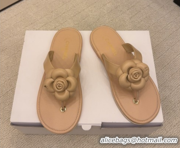 Sophisticated Chanel Calfskin Leather Flat Thongs Slide Sandal with Camellia Bloom G46988 Beige 2026