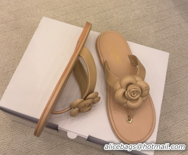 Sophisticated Chanel Calfskin Leather Flat Thongs Slide Sandal with Camellia Bloom G46988 Beige 2026