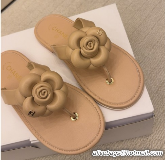 Sophisticated Chanel Calfskin Leather Flat Thongs Slide Sandal with Camellia Bloom G46988 Beige 2026