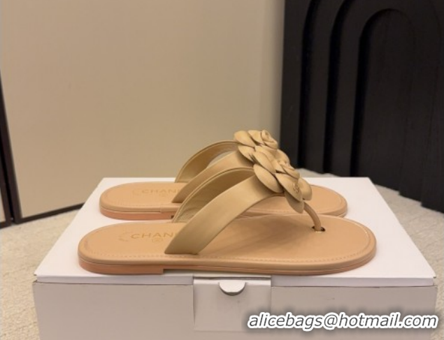 Sophisticated Chanel Calfskin Leather Flat Thongs Slide Sandal with Camellia Bloom G46988 Beige 2026