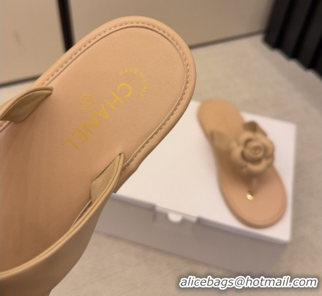 Sophisticated Chanel Calfskin Leather Flat Thongs Slide Sandal with Camellia Bloom G46988 Beige 2026