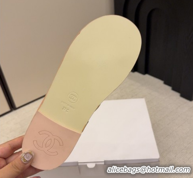 Sophisticated Chanel Calfskin Leather Flat Thongs Slide Sandal with Camellia Bloom G46988 Beige 2026