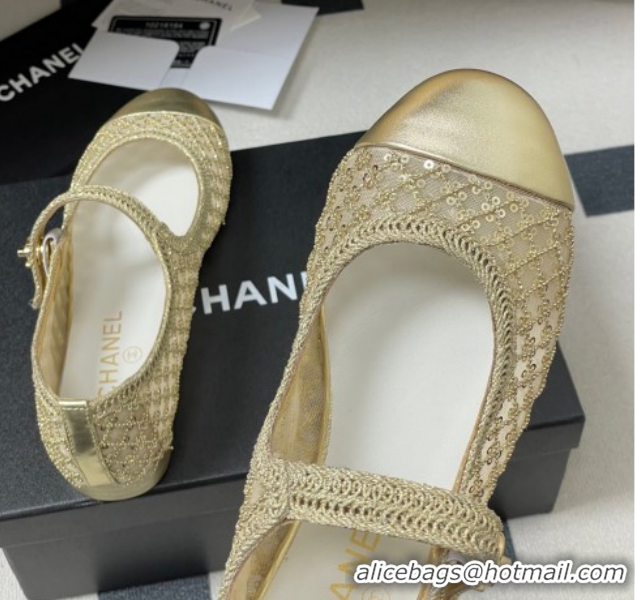 Good Looking Chanel Mesh & Sequins Mary Janes Flat CH122302 Gold 2026