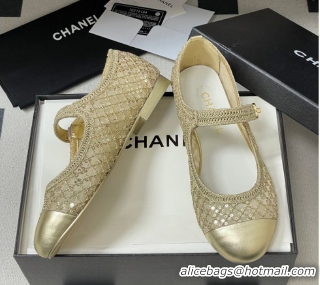 Good Looking Chanel Mesh & Sequins Mary Janes Flat CH122302 Gold 2026