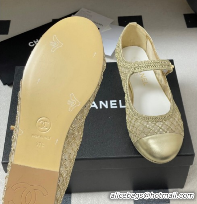 Good Looking Chanel Mesh & Sequins Mary Janes Flat CH122302 Gold 2026