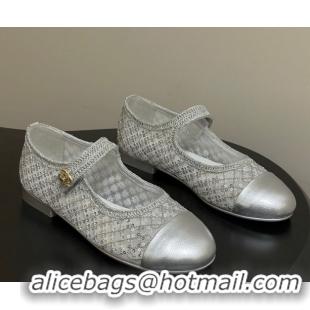 Luxurious Chanel Mesh & Sequins Mary Janes Flat CH122302 Silver 2026