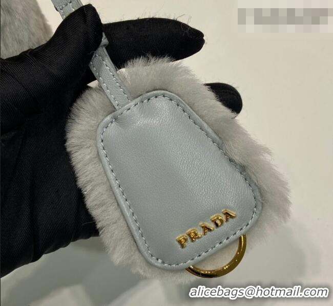 Best Quality Prada Re-Edition mini shearling bag 1BC204 Grey 2026