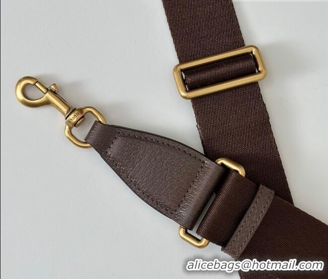 Top Grade Gucci Mens Ophidia small crossbody bag in gg canvas 839155 Beige/Brown 2025