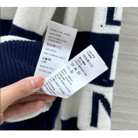 Famous Brand Celine Wool Striped Sweater CE122701 White/Blue 2025