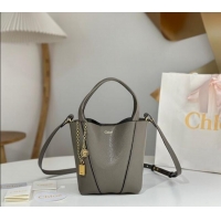 Promotional Grade Chloe Small Spin Tote Bag in Grained Leather 1120 Grey 2025