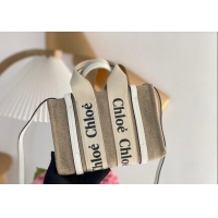 Luxury Discount Chloe Mini Woody Tote Bag in Linen Canvas and Calfskin Leather 1120 White 2025